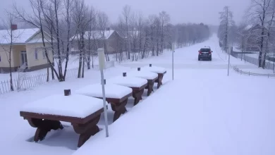 Photo of Ижевск готовится к зиме
